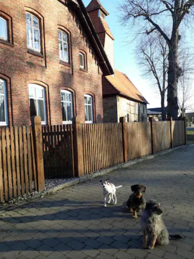 Charmante Dorfschule Hohenhameln Exterior photo